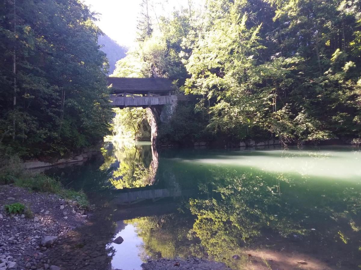 Les Sciernes d'Albeuve Chalet Le Tsale 빌라 외부 사진